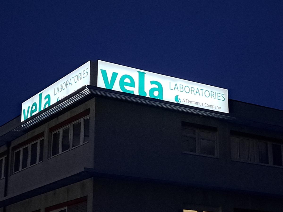 Management and Team information I VelaLabs